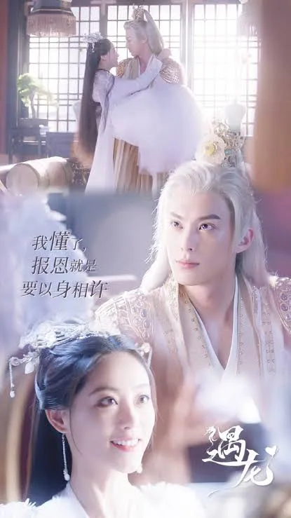 Miss the Dragon VJ KAM poster