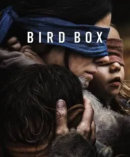 Bird Box vj junior poster
