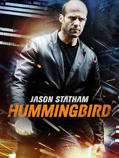 humming bird vj junior poster
