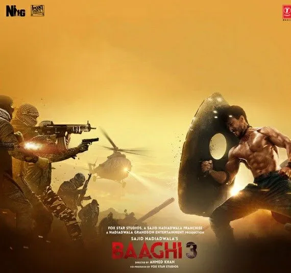 Baaghi Part 2 Vj Emmy poster