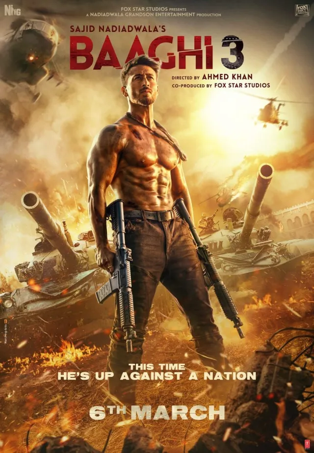 Baaghi Part 1 Vj Emmy poster
