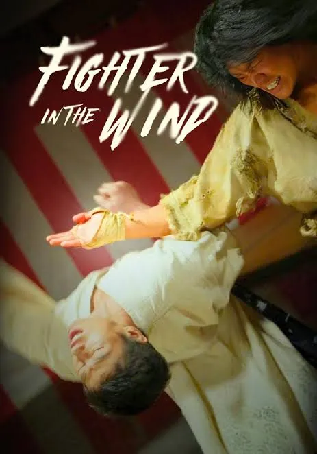 Fighter in the Wind VJ ICE P poster