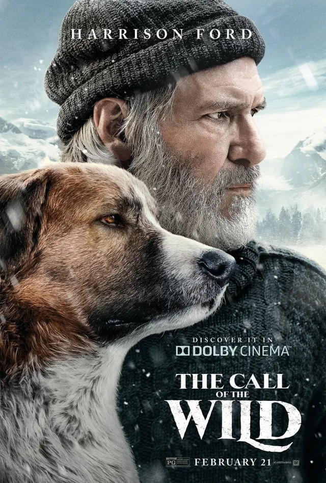 The Call of the Wild - Vj Junior poster