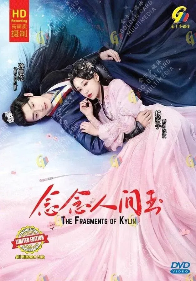 The Fragments Of Kylin Vj Banks poster