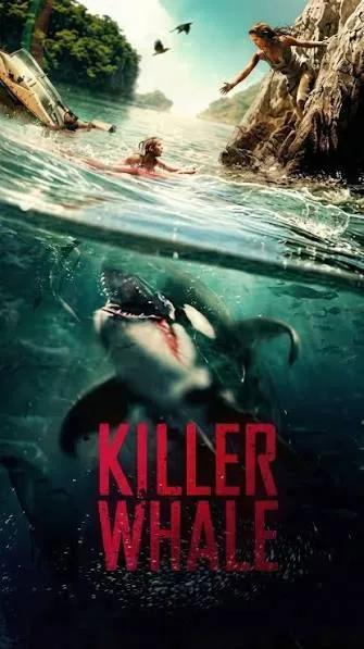Killer Whale Vj Soul poster