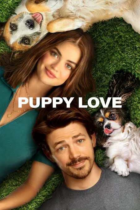 Puppy love Vj Ulio poster