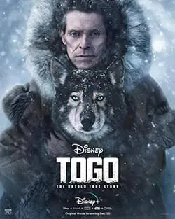 Togo Vj Ulio poster