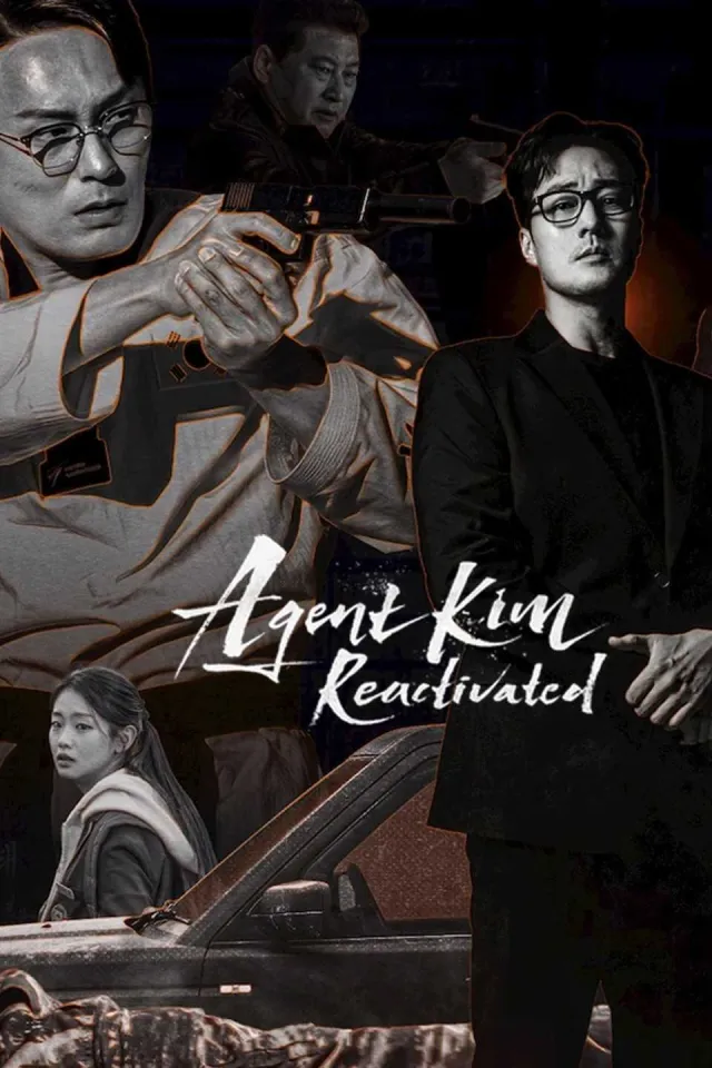 Agent Kim Reactivated VJ IVO poster
