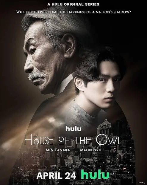 House Of The Owl Vj Ronage poster