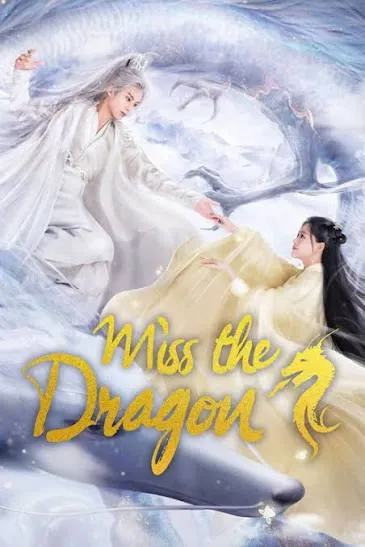 Miss the Dragon VJ KAMRAN poster