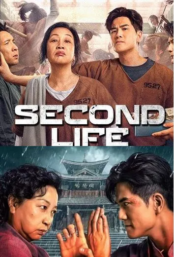 Second Life vj emmy poster