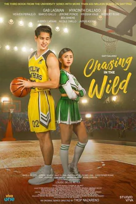 Chasing in the Wild VJ BONNY poster