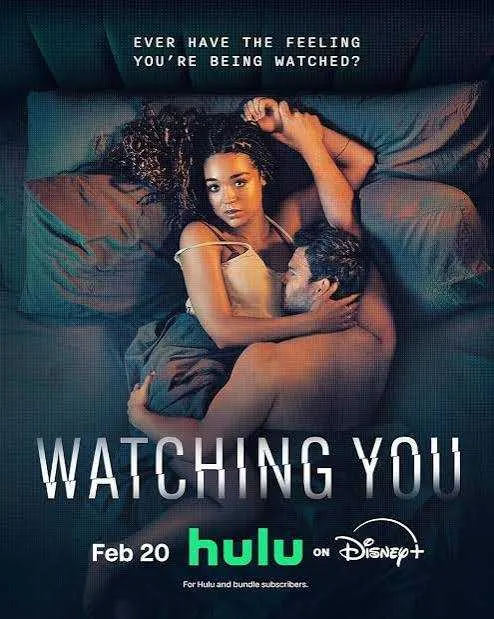 Watching You VJ HAM poster